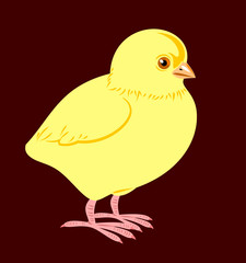 A cute little fluffy yellow chicken. Children's themes
