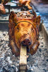 A whole pig being roasted on a fire