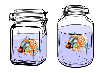 Goldfish in a glass jar