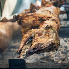 A whole lamb being roasted on a fire