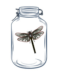 dragonfly in a glass jar