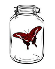 beautiful butterfly in a glass jar