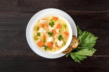 Chicken soup with noodles, overhead photo with copyspace