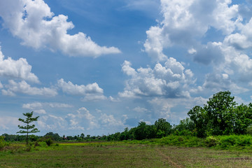 Background of nature