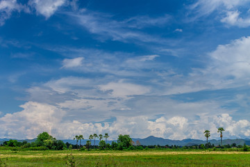 Naklejka premium Background of nature