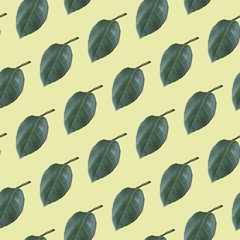 Rose leaves background. Seamless pattern.