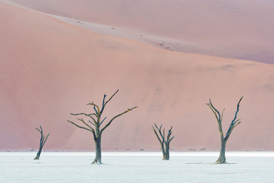 Deadvlei
