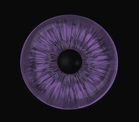 Violet eye iris - Detailed vector