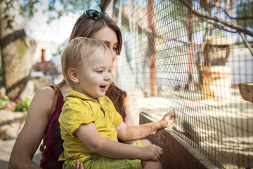 happy toddler boy and his young mother looking at animal at zoo.