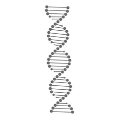 DNA vector. DNA icon