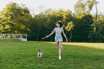 Girl throwing orange flying disk to small funny dog, which catching it on green grass. Little Jack...