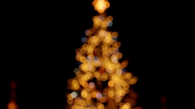 Glowing lights on a christmas tree. From the bottom to the top.