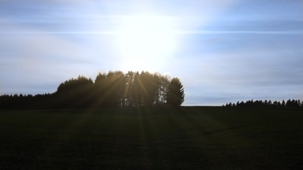 Tiefstehende Sonne im Herbst