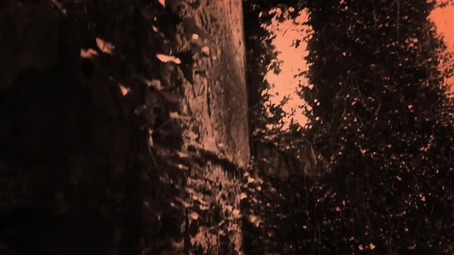 Horror concept - Monster Point of View POV through old ruins in the jungle V2