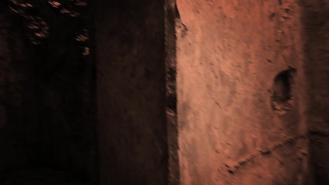 Horror concept - Monster Point of View POV through old ruins in the jungle V1