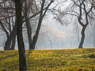 Fog at sunny autumn morning in Kalemegdan park, Belgrade, Serbia