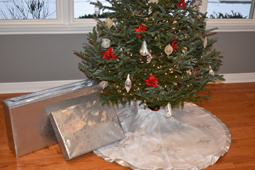 Presents under Christmas Tree