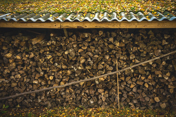 Obraz premium Harvested for winter firewood on the farm.