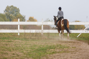 young girl ride her horse in the yard