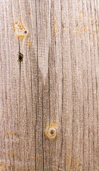 Brown old grunge Wooden Texture background, vertical.