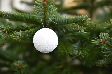 Fototapeta na wymiar Boule de neige de Noël dans sapin vert