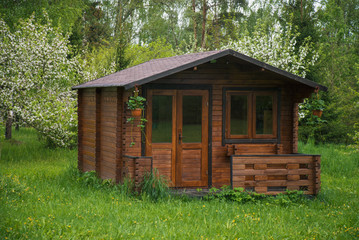 Summer cottage with blooming apple trees