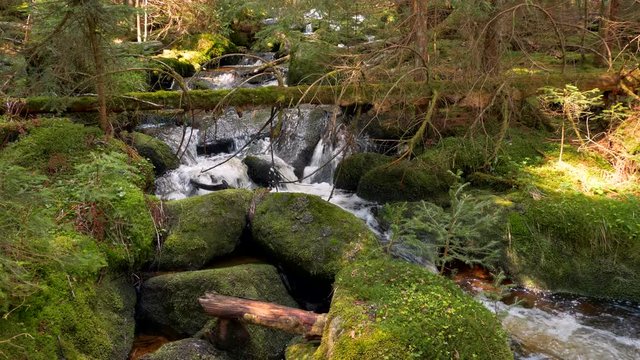 Fresh mountain stream