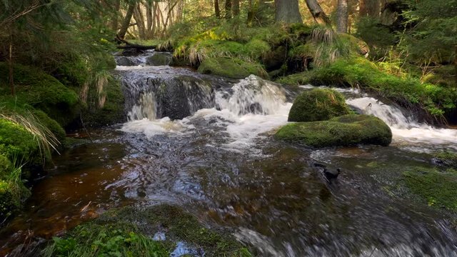 Fresh mountain stream