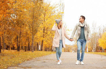 Young couple walking in park on autumn day