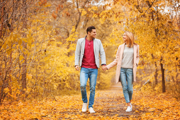 Young couple walking in park on autumn day