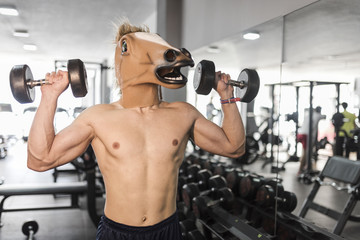 Fototapeta na wymiar Horse face man training shoulder exercises in gym