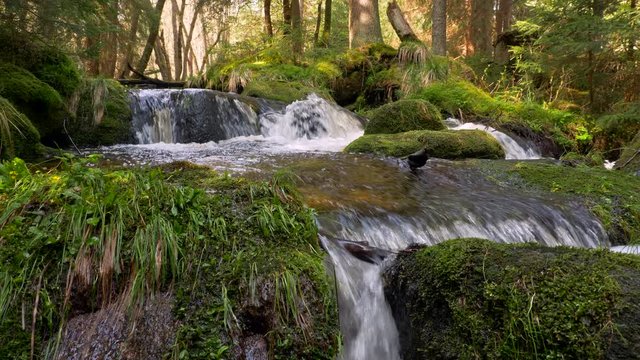 Fresh mountain stream