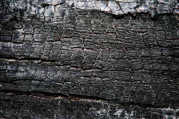 Burnt wood texture