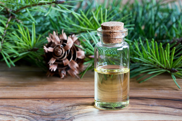A bottle of Douglas fir essential oil with fresh Douglas fir branches
