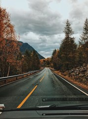 road view from the car