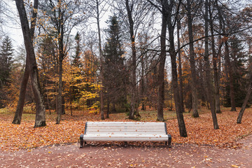 Empty white wooden bench in autumn park