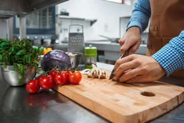 The chef in brown apron cooking in a restaurant kitchen