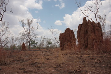 Termite Mounds in Northern Territory, Australia