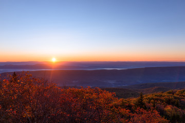 Morning dark sunrise with sky and golden yellow orange autumn foliage in Dolly Sods, Bear Rocks, West Virginia with overlook of mountain valley