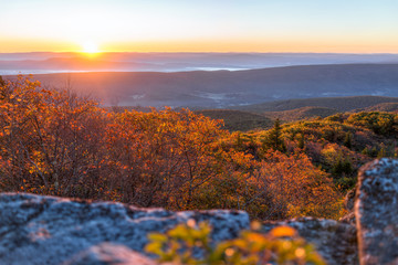Morning dark sunrise with sky and golden yellow orange autumn foliage in Dolly Sods, Bear Rocks, West Virginia with overlook of mountain valley