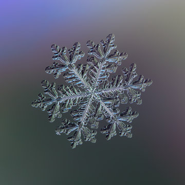 Real snowflake at high magnification. Macro photo of large stellar dendrite snow crystal with complex, elegant structure, six long ornate arms and small center. Snowflake glowing on dark background.