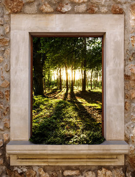 Fenster zum Sonnenuntergang im Wald
