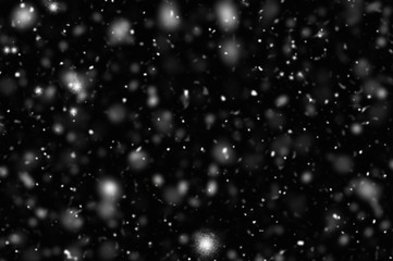 The snow bokeh texture on black background.