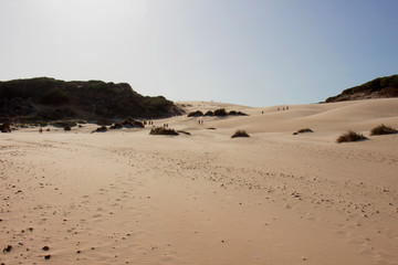 Sand. Beach dunes of Bologna, Tarifa, Spain. Picture taken – 2 september 2017.