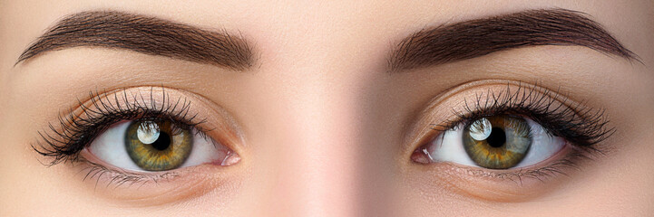 Fototapeta premium Zamknij się widok pięknych brązowych oczu kobiet