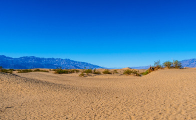 Fototapeta na wymiar Sand Dunes at Death Valley National Park - Mesquite Flat Sand Dunes