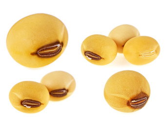 Set of soybean seeds isolated on white background