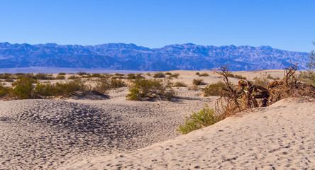 Sand Dunes at Death Valley National Park - Mesquite Flat Sand Dunes