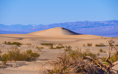 Sand Dunes at Death Valley National Park - Mesquite Flat Sand Dunes
