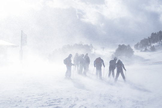 Group of mountain skiers during strong wind and a bizzard